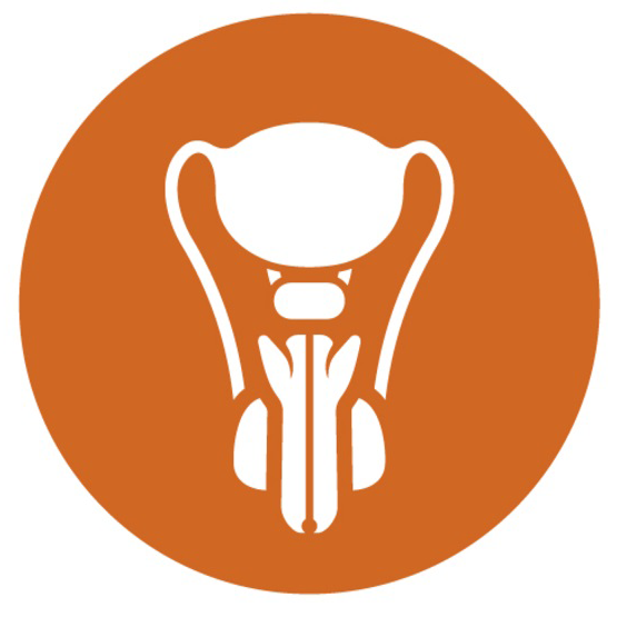 Hormone Optimization Hormone Optimization