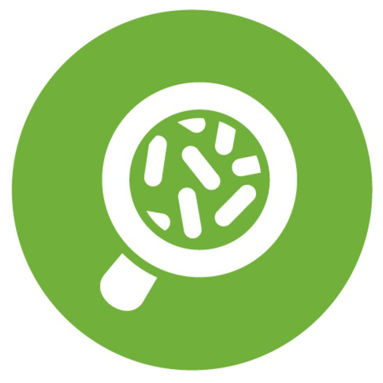 Microbiome Microbiome