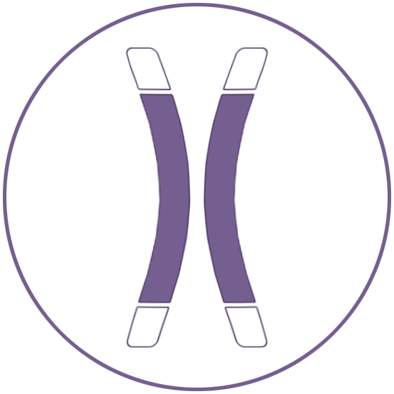 Telomere Length Telomere Length